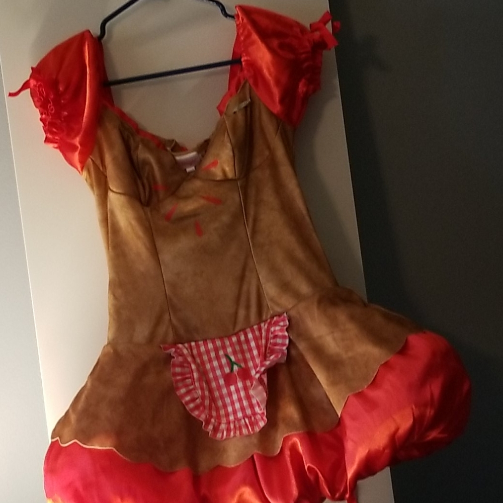 Dreamgirl " hot apple pie costume